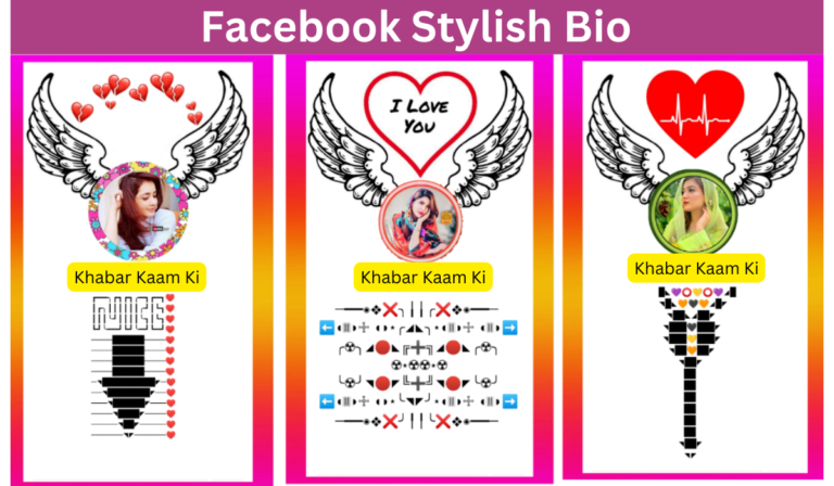 Facebook Stylish Bio and Facebook Stylish VIP Bio